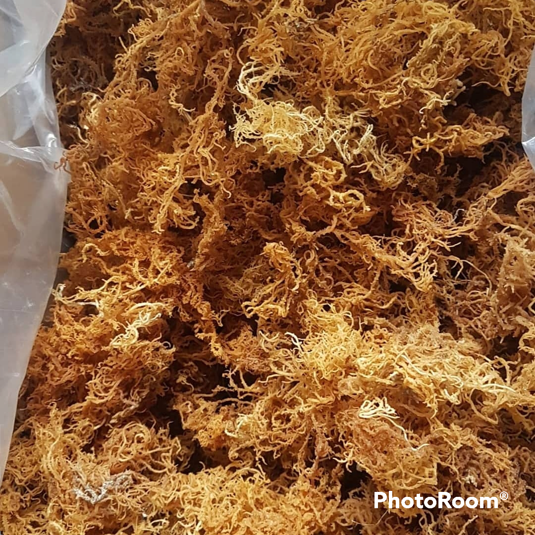 Golden Caribbean Wildcrafted 100%  Sea  Moss  1kg